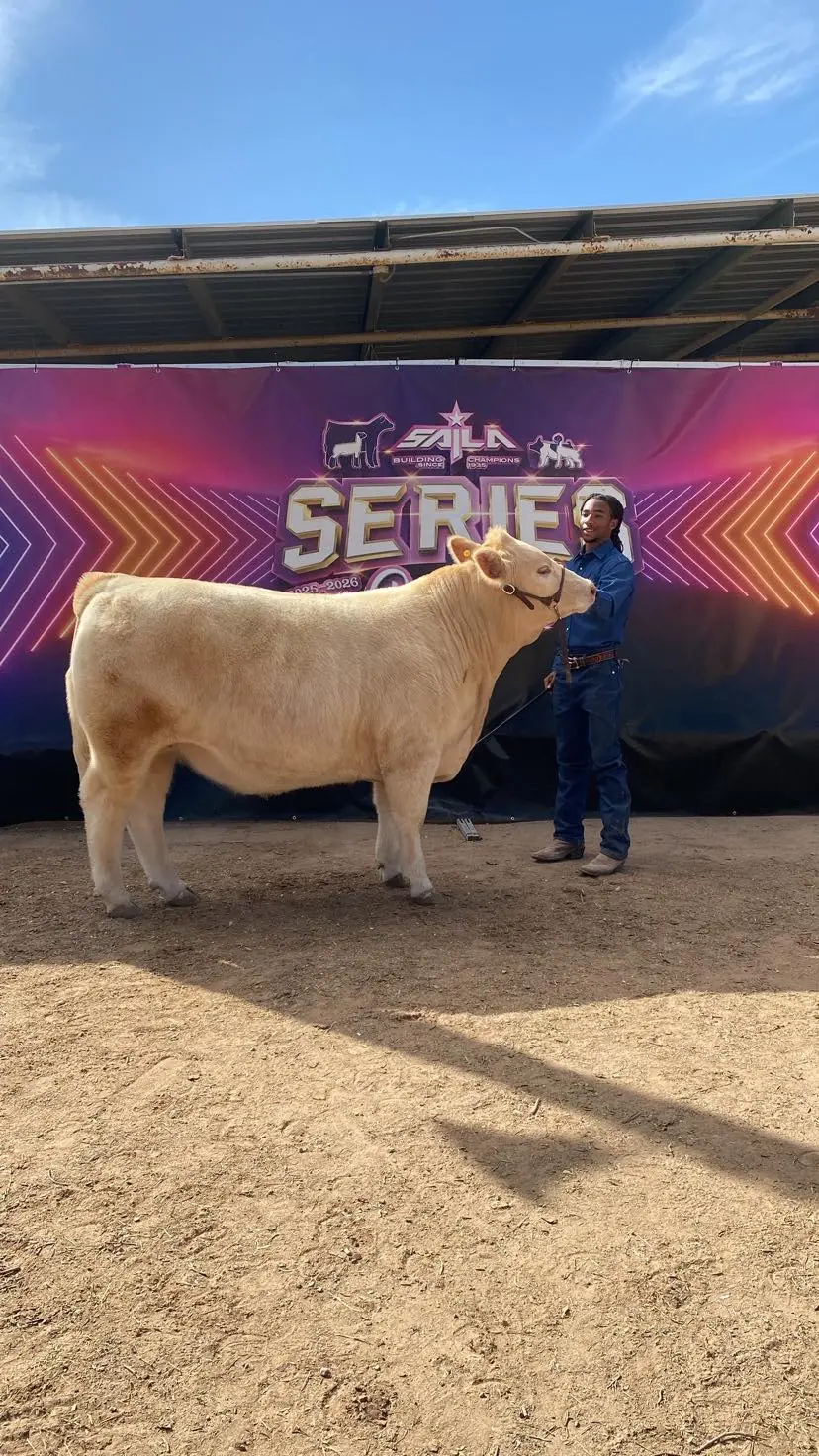 Jason and Keane with a steer